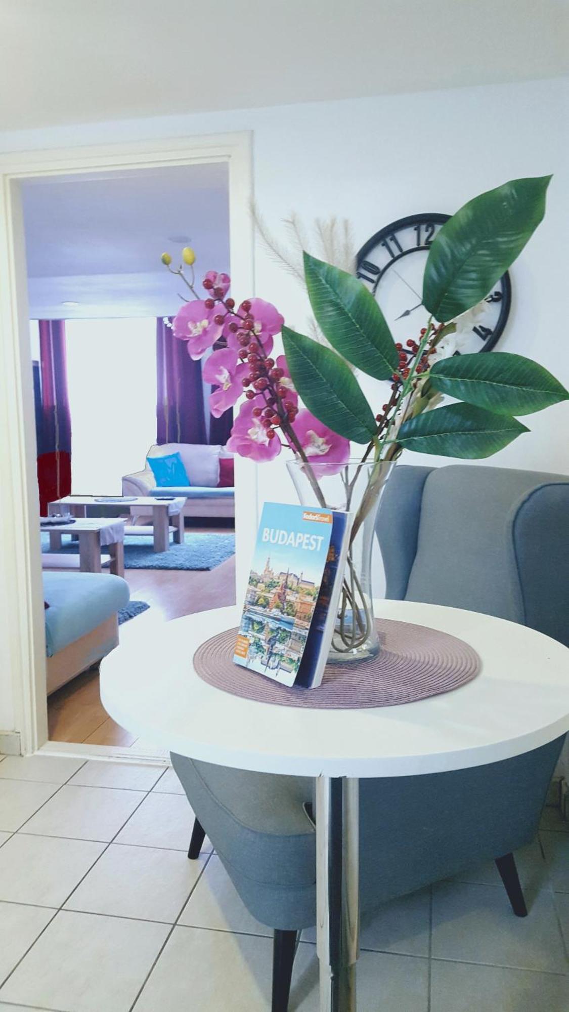Downtown Acacia Str Apartment Budapest Luaran gambar